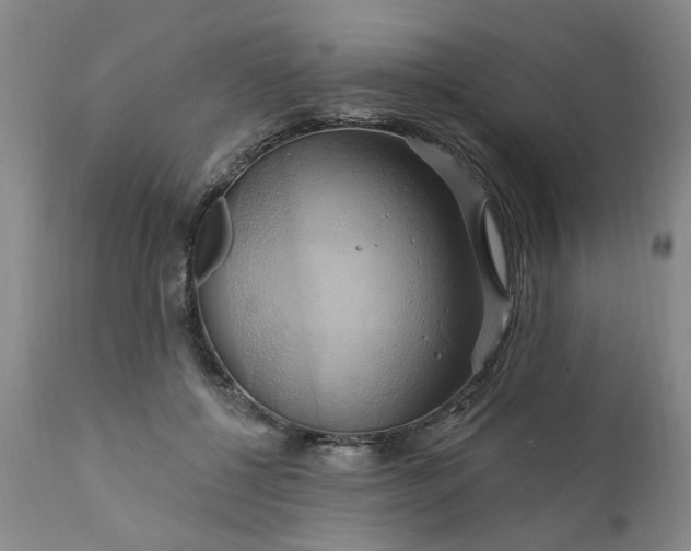 X0000110680552200906261323