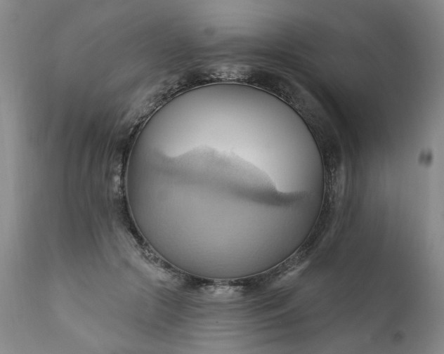 X0000110680553200906261323