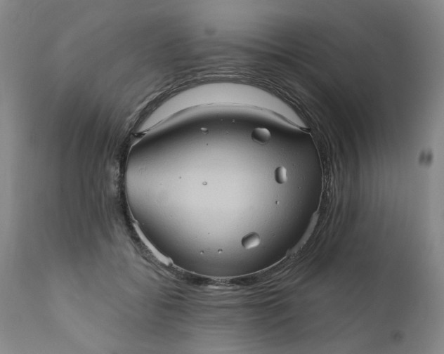 X0000110680556200906261323