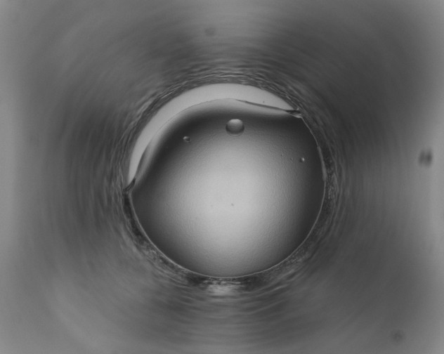 X0000110680560200906261323