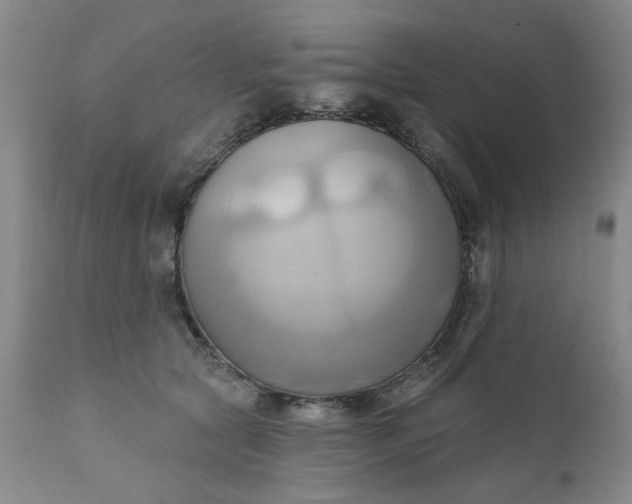 X0000110680561200906261323