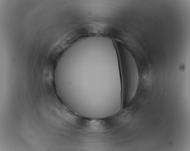 X0000110680566200906261323