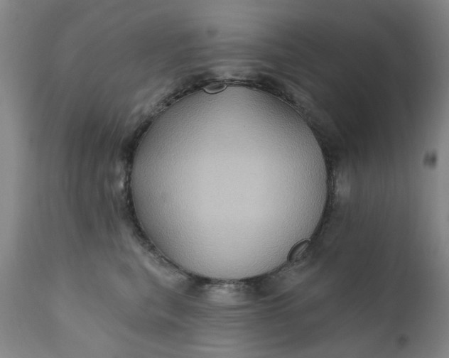 X0000110680567200906261323