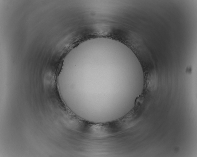 X0000110680568200906261323