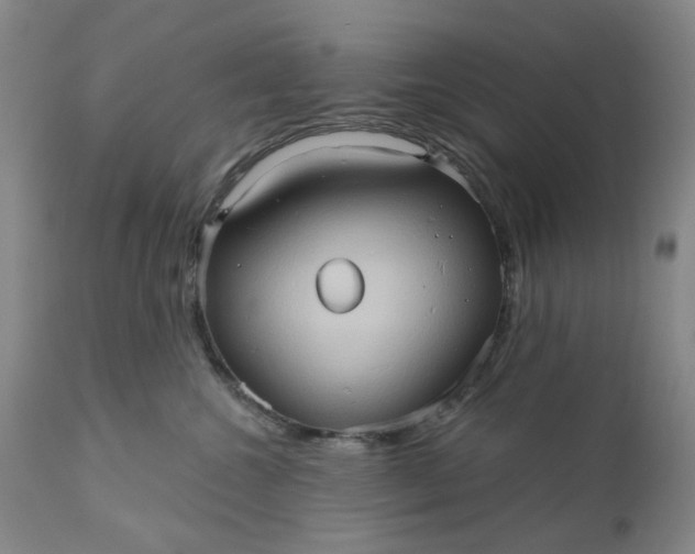 X0000110680572200906261323