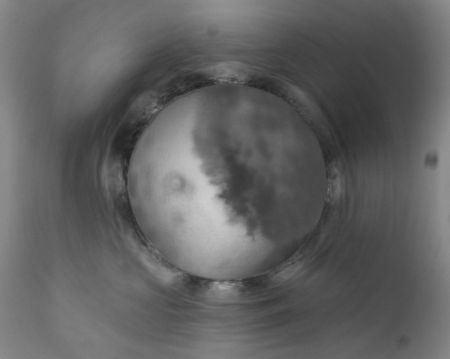 X0000110680573200906261323