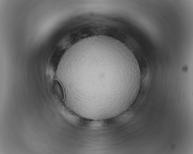 X0000110680574200906261323