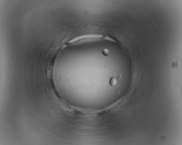 X0000110680576200906261323