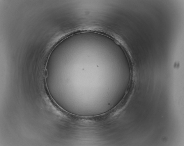 X0000110680577200906261323