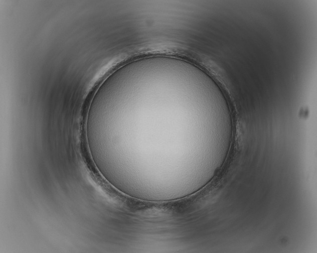 X0000110680578200906261323