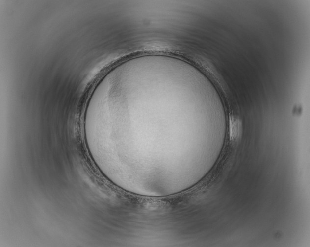 X0000110680579200906261323