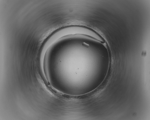 X0000110680581200906261323