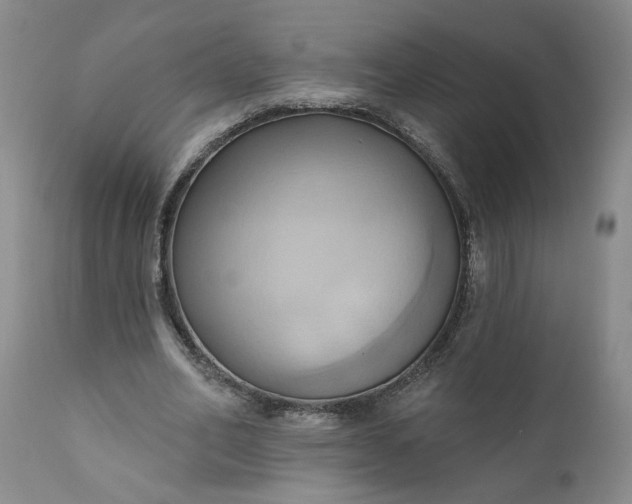 X0000110680582200906261323