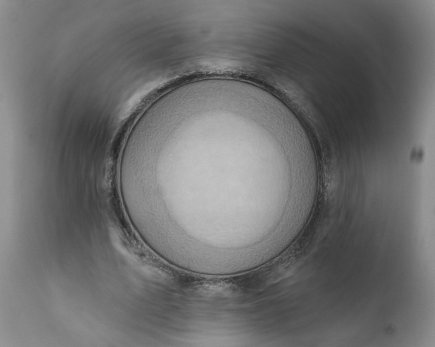 X0000110680583200906261323