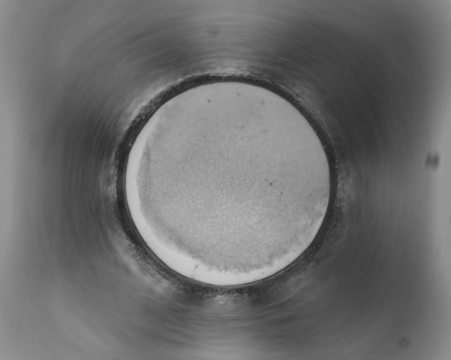 X0000110680584200906261323