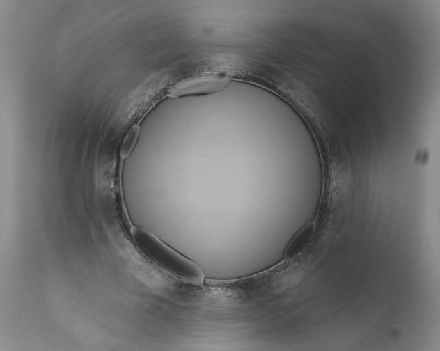 X0000110680585200906261323