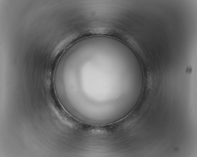 X0000110680586200906261323