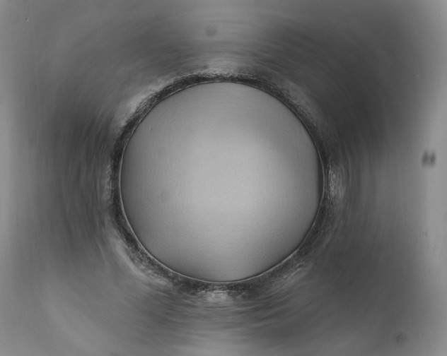 X0000110680588200906261323