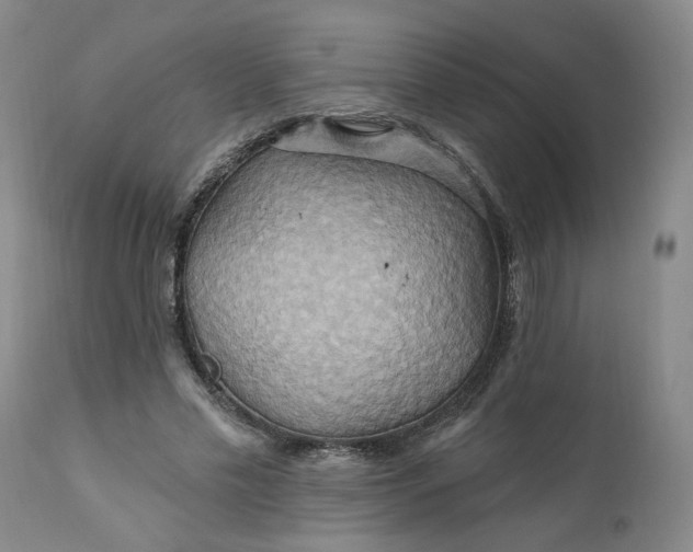 X0000110680589200906261323