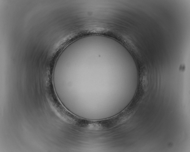 X0000110680591200906261322