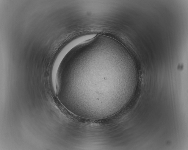 X0000110680593200906261322