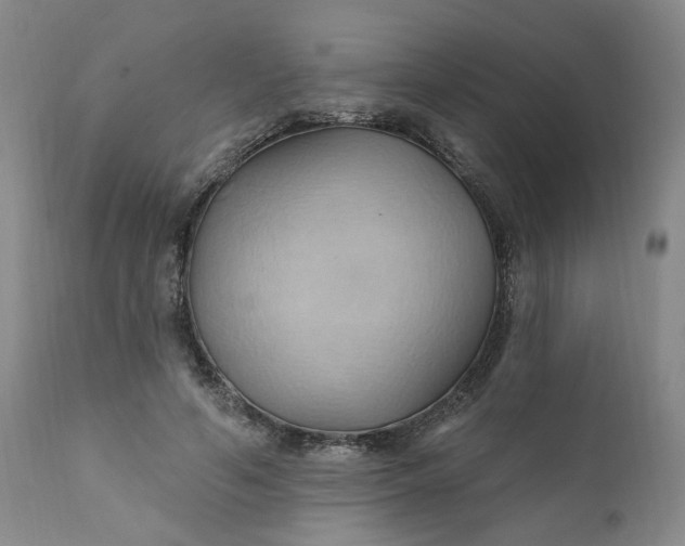 X0000110680594200906261322