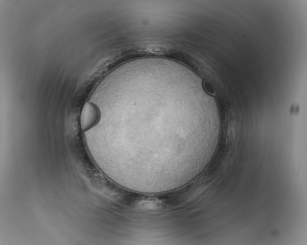 X0000110680595200906261322