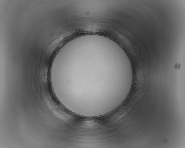 X0000110680596200906261322