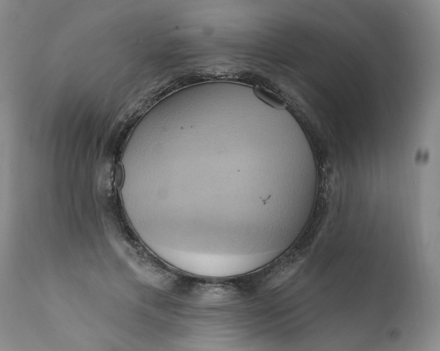 X0000110680597200906261322