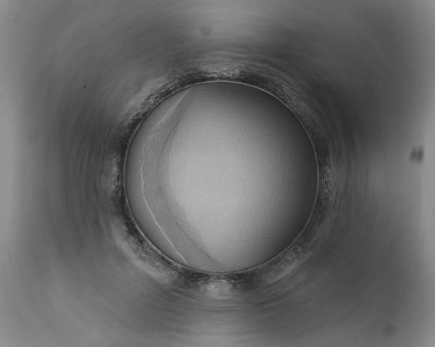 X0000110680600200906261322