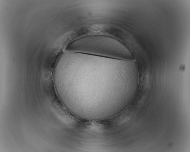 X0000110680601200906261322