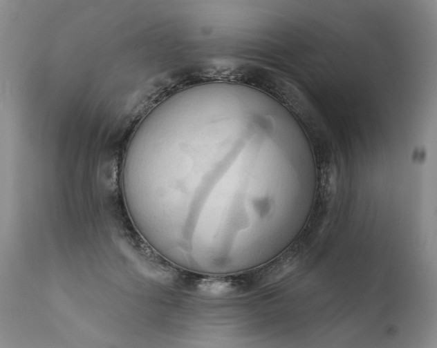 X0000110680602200906261322