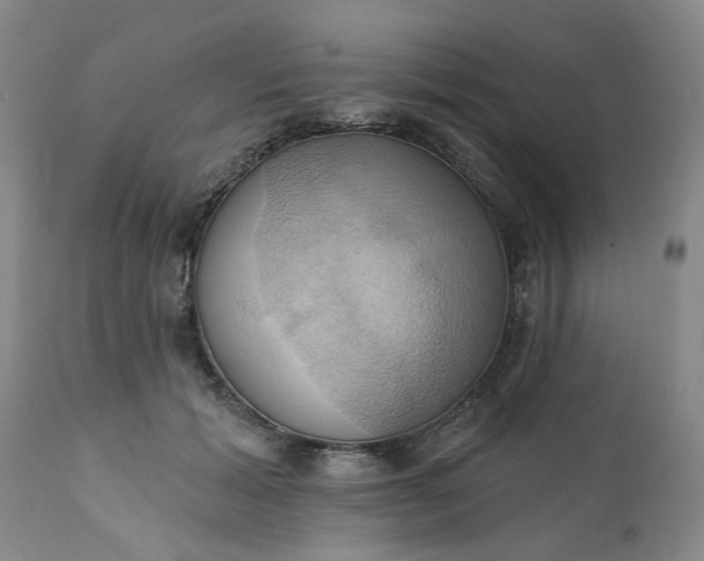 X0000110680605200906261322