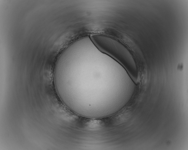 X0000110680609200906261322