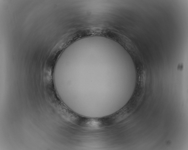 X0000110680610200906261322