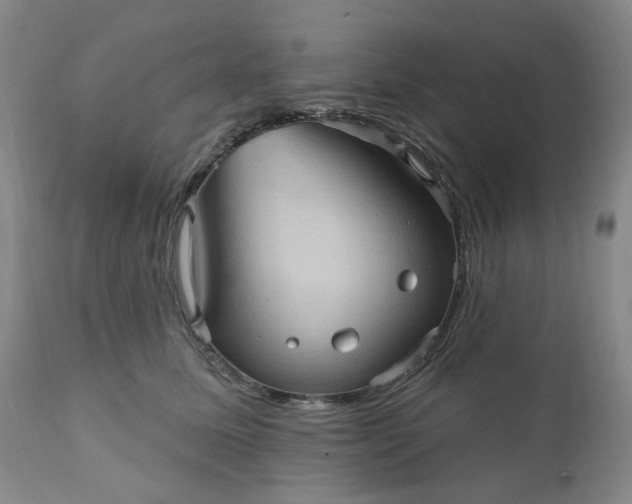 X0000110680611200906261322