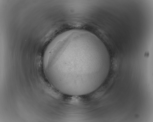 X0000110680612200906261322