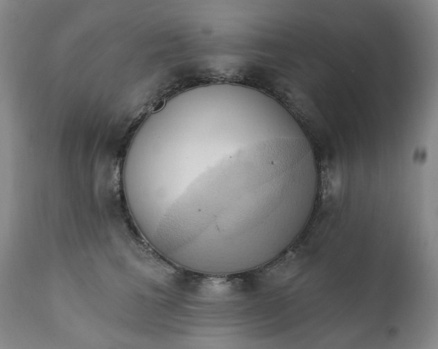 X0000110680613200906261322