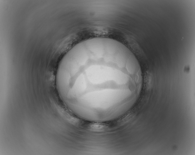 X0000110680614200906261322