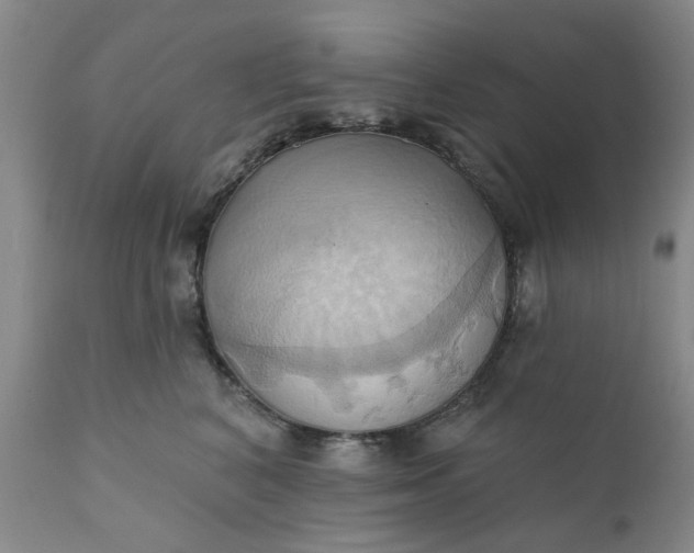 X0000110680616200906261322