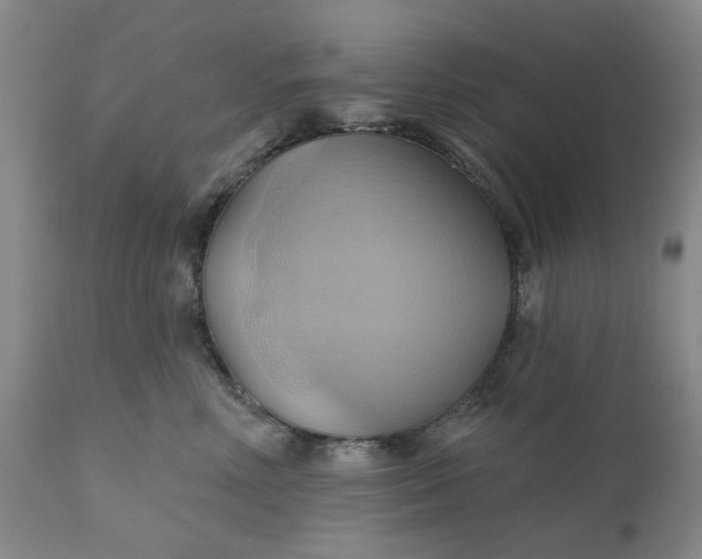 X0000110680618200906261322