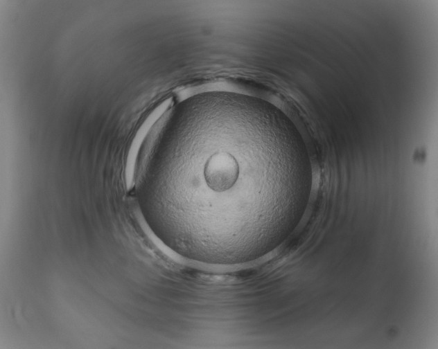 X0000110680621200906261322