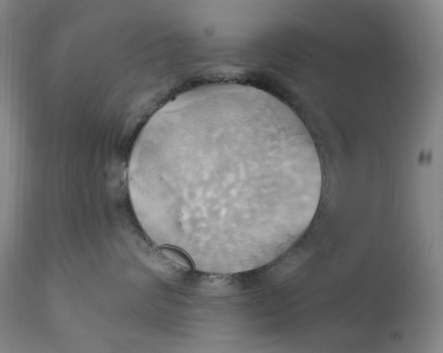 X0000110680624200906261322