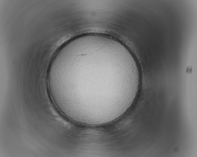 X0000110680625200906261321