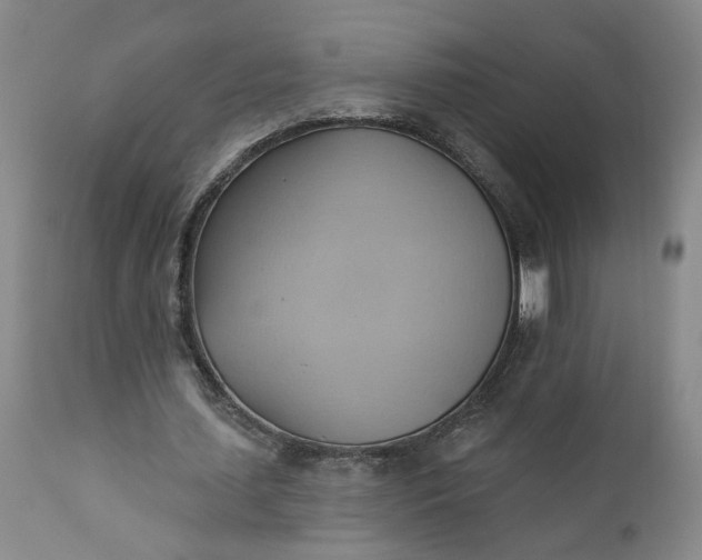 X0000110680627200906261321