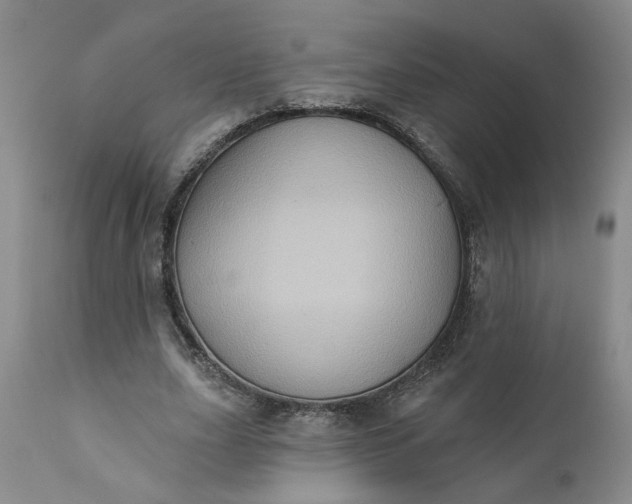 X0000110680631200906261321