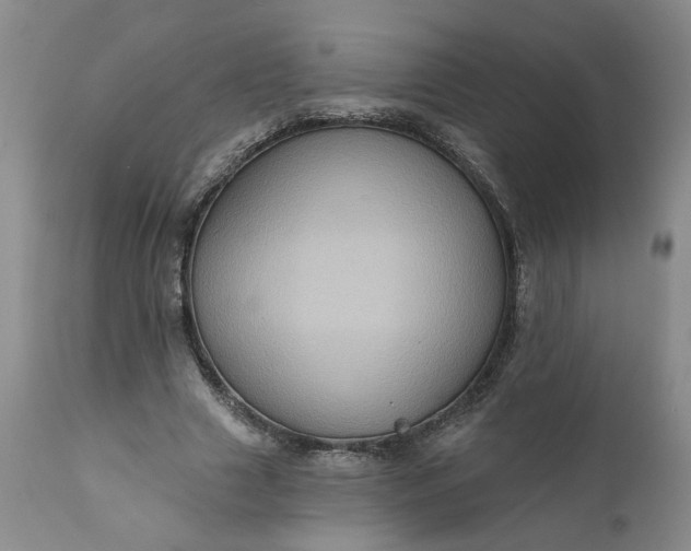 X0000110680633200906261321