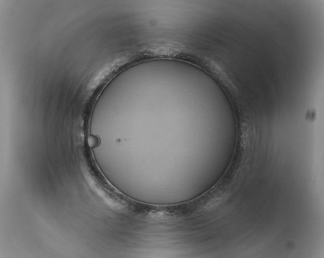 X0000110680634200906261321