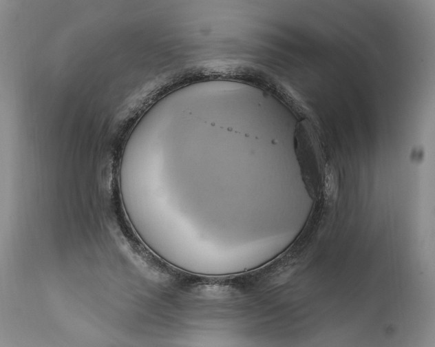 X0000110680637200906261322