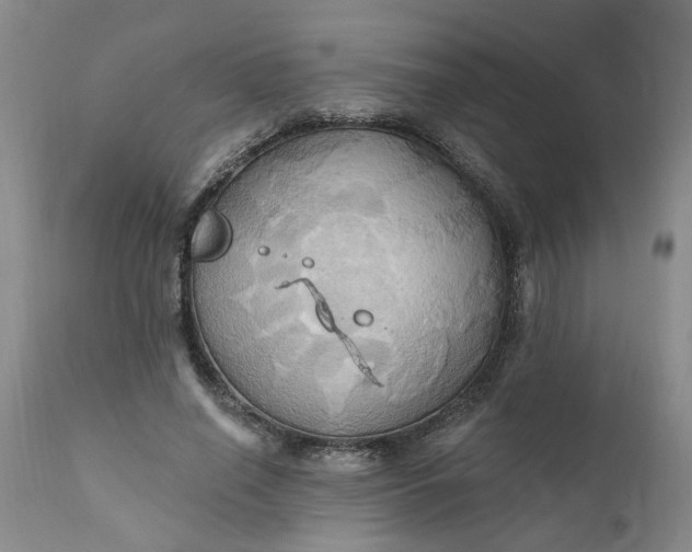 X0000110680638200906261322